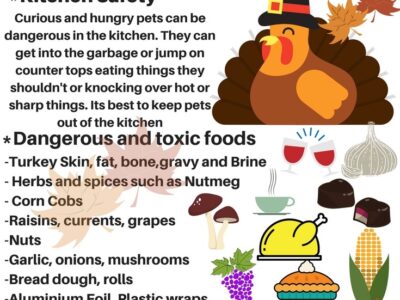 Thankgiving is One of the Busiest Days of the Year for Veterinarians; Here are some Tips for Pet Safety