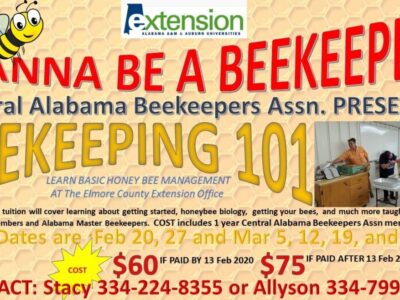 Are You Interested in Beekeeping? Learn Basic Honey Bee Management at Elmore County Extension Office
