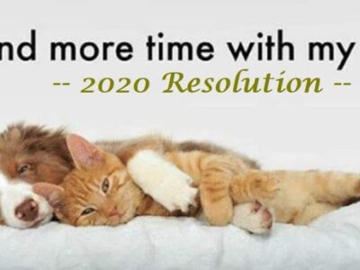 HSEC NEWS: Ten New Year’s Resolutions for Pet Owners