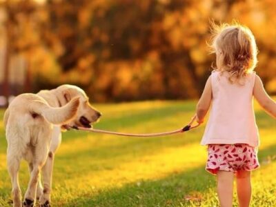 HSEC News: January is National Train Your Dog Month, Walk  Your Pet Month