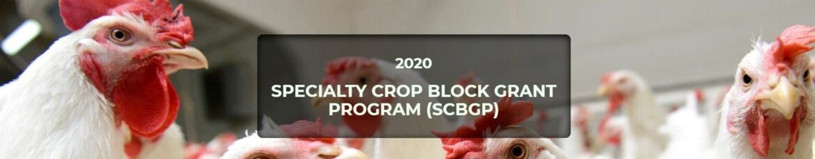 USDA Specialty Crop Block Grant Program Applications Being Accepted