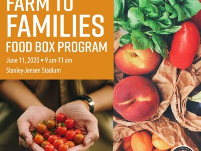 Groups Distributing Food June 11 at Stanley-Jensen Stadium on First Come/First Served Basis