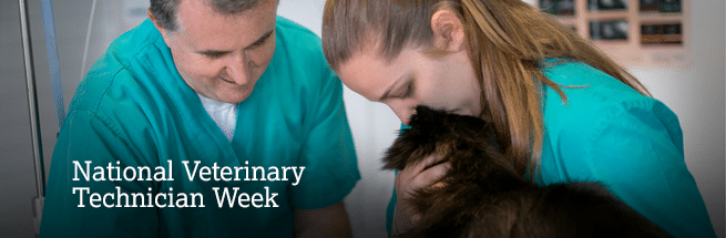 HSEC News: A Shout Out to All Veterinary Technicians This Week!