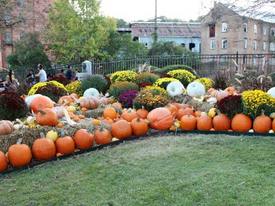 FALL CALENDAR: New Events Added; Make Plans to See and Enjoy This Season