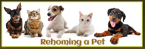 HSEC News – Rehoming a Pet: Be Wary of Posting ‘Free to Good Home’