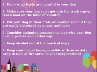 New Year’s Eve and Fireworks: Avoid Lost Pets with Pre-Planning