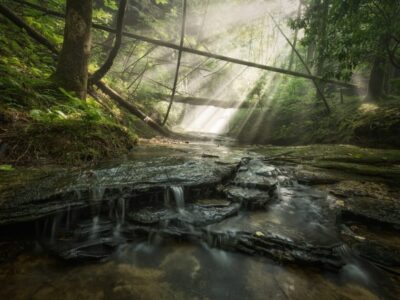 Winners of the Outdoor Alabama Photo Contest Announced; Honorable Mention from Autauga County