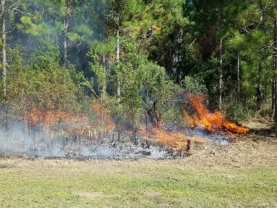 Prescribed Fires Planned at Frank Jackson State Park For February, March; Hiking Trails Closed
