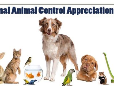 HSEC NEWS: Animal Control Officers are So Much More than Just ‘Dog Catchers’