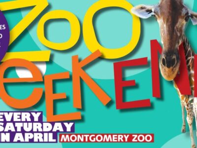 Montgomery Zoo Moves Saturday Event to Sunday Due to Severe Weather Threat