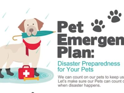 Do You Have a Pet Emergency Plan? HSEC Gives Tips on How To Be Prepared