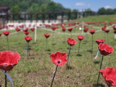 2,021 Poppies to Honor Fallen This Memorial Day in Historic Downtown Prattville