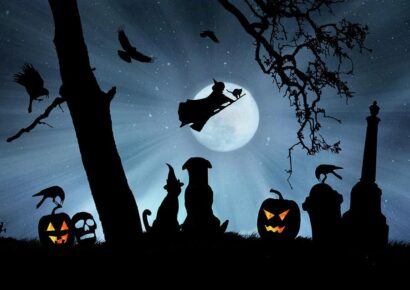 HSEC NEWS: Halloween Doesn’t Have to be Spooky for Your Pets; Keep their Safety in Mind