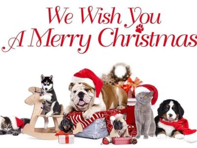 The HSEC Wishes All a Merry Christmas; Shelter Open for Adoptions through Thursday