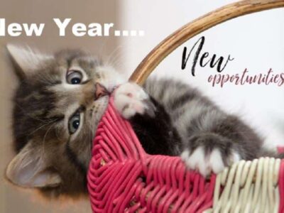 HSEC News: 10 New Year’s Resolutions for Pet Owners