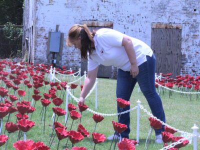 Alabama Poppy Project in Prattville a Labor of Love, says Julianne Hansen