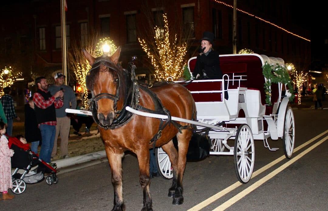 Photos: Downtown Dickens Christmas Celebrated In Wetumpka - Elmore ...