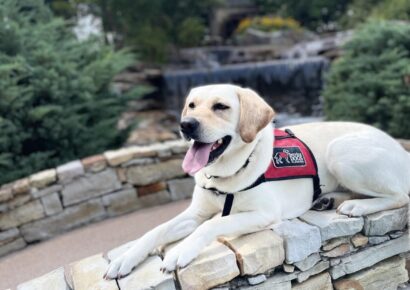 <strong>Charity Event April 15 to benefit Service Dogs Alabama; Hosted by American Legion Post 133</strong>