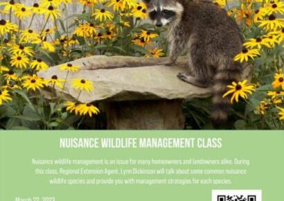 Elmore County Extension: Nuisance Wildlife Management info coming March 22; Register today