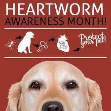 HSEC News: April is Heartworm Awareness Month