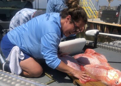 Ahead of Red Snapper Season: NOAA Fisheries and Partners Announce Improvements to Recreational Fishing Data Collection