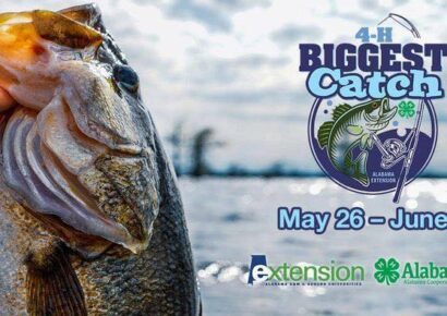 Biggest Catch competition continues through June 5