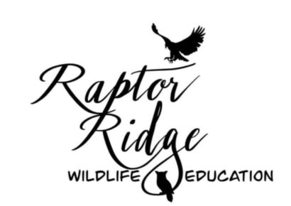 ‘Reading with Raptors’ Coming to Millbrook Public Library Tuesday