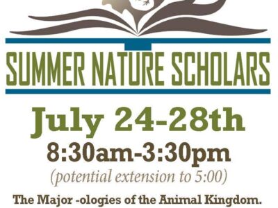 Spots Available for AWF’s Summer Programs July 24-28