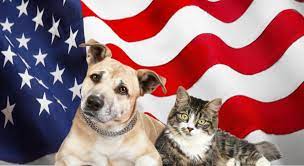 Pets and Fireworks: The time to Prepare is Now