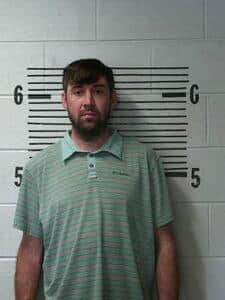 Michael “Cole” Watkins Arrested for Killing Black Bear in Wallsboro