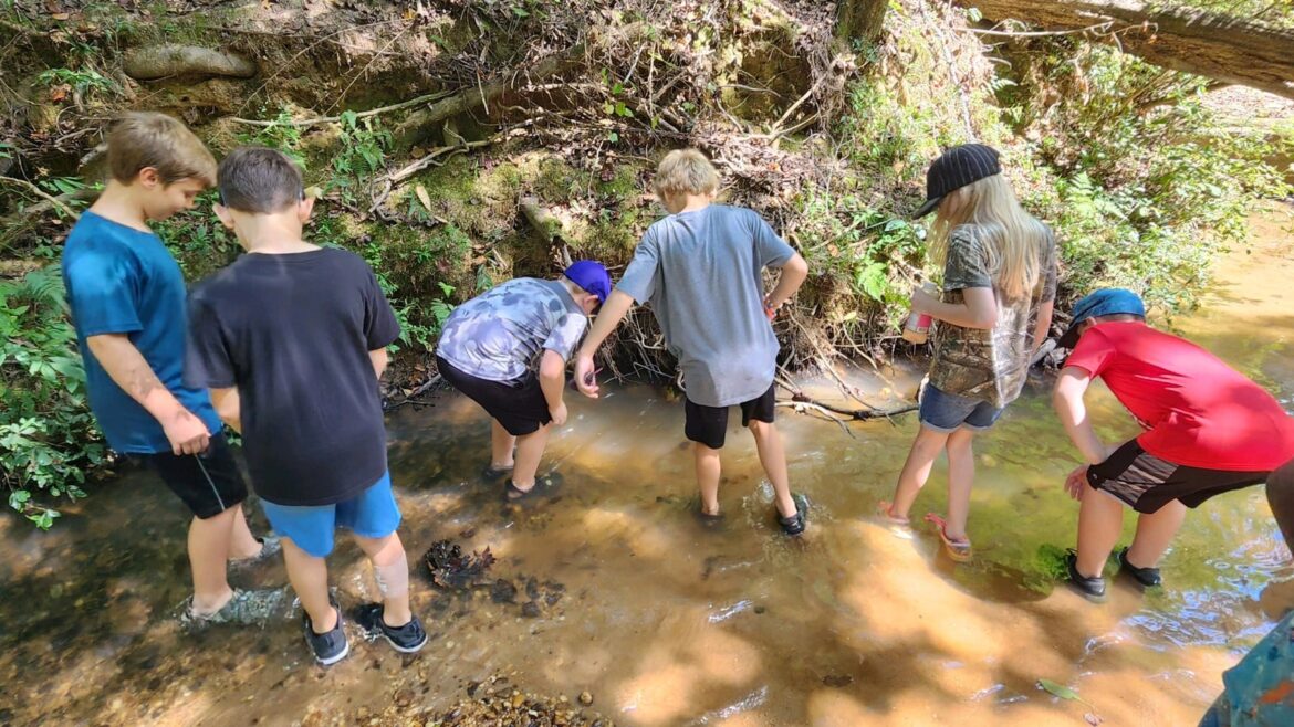 Tallassee Water Festival Held At The Alabama Nature Center Elmore