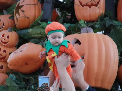 5th annual Parade of Pumpkins Continues to Draw Crowd; Continues through Halloween