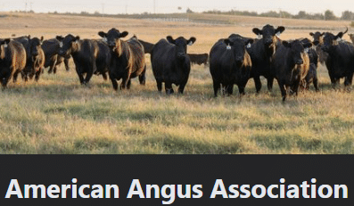 Trace Strock, of Marbury, Joins Membership of American Angus Association