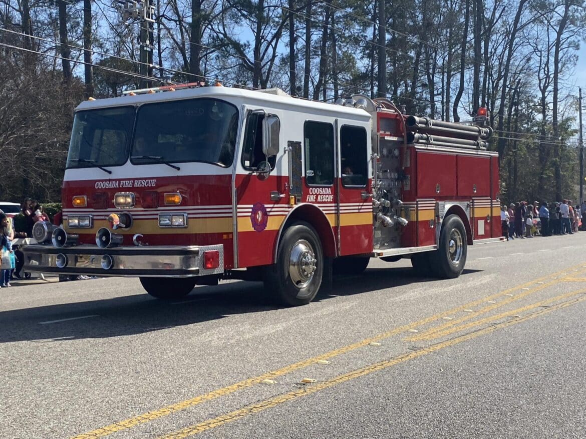 mardi gras parade millbrook al