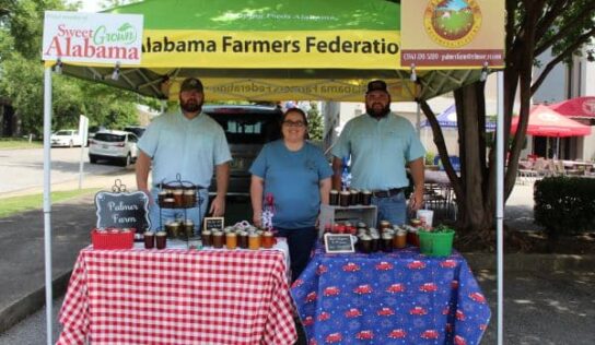 The sweet taste of buying local, Sweet Grown Alabama supports local agriculture