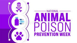 It is National Poison Prevention Week; Make sure your Pets are also protected