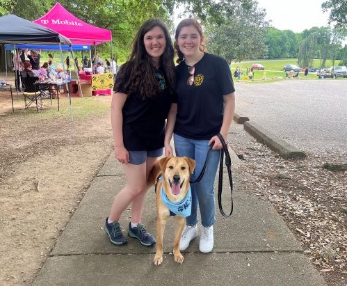 A Paws-itively perfect Bark in the Park hosted by PAHS