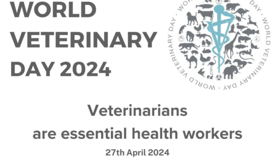 World Veterinary Day: Thankful for services they provide